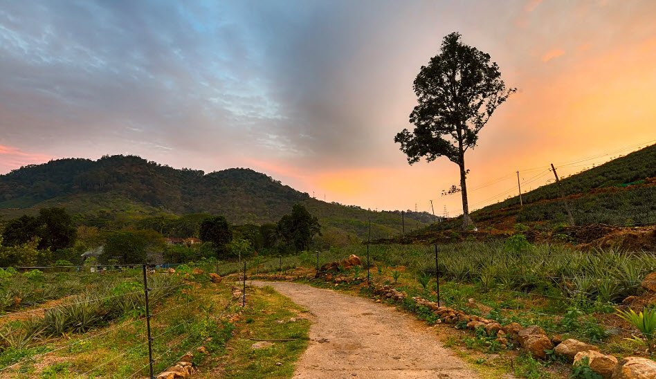 Ambanad Hills